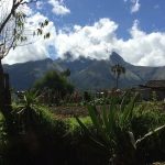 Natuur coaching in Ecuador